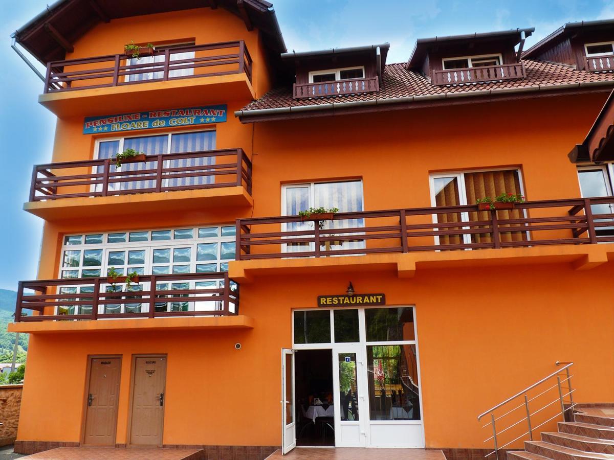 Hotel Floare De Colt Petroşani Exterior foto
